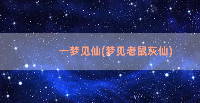 一梦见仙(梦见老鼠灰仙)