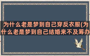 为什么老是梦到自己穿反衣服(为什么老是梦到自己结婚来不及筹办)