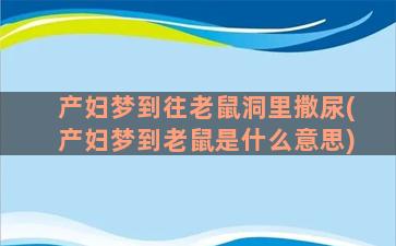 产妇梦到往老鼠洞里撒尿(产妇梦到老鼠是什么意思)