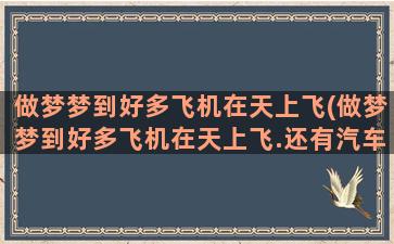 做梦梦到好多飞机在天上飞(做梦梦到好多飞机在天上飞.还有汽车天上掉进泥地)