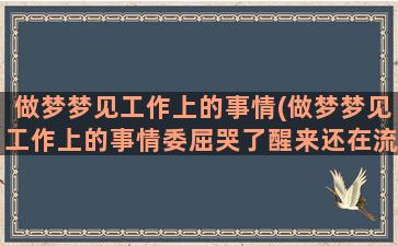 做梦梦见工作上的事情(做梦梦见工作上的事情委屈哭了醒来还在流眼泪)