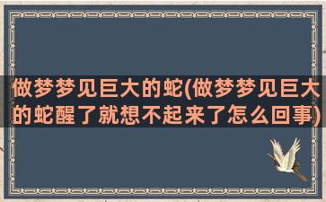 做梦梦见巨大的蛇(做梦梦见巨大的蛇醒了就想不起来了怎么回事)