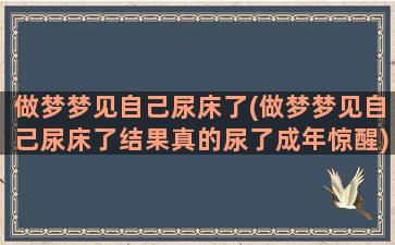 做梦梦见自己尿床了(做梦梦见自己尿床了结果真的尿了成年惊醒)