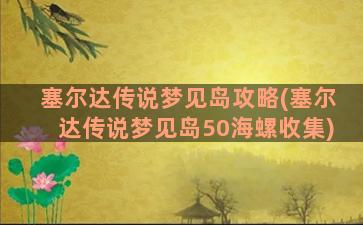 塞尔达传说梦见岛攻略(塞尔达传说梦见岛50海螺收集)