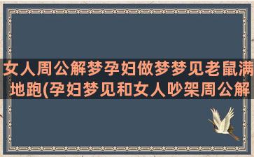 女人周公解梦孕妇做梦梦见老鼠满地跑(孕妇梦见和女人吵架周公解梦)