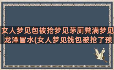 女人梦见包被抢梦见茅厕粪满梦见龙潭冒水(女人梦见钱包被抢了预示着什么)