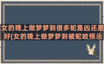 女的晚上做梦梦到很多蛇是凶还是好(女的晚上做梦梦到被蛇咬预示什么)