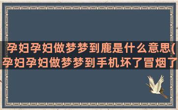 孕妇孕妇做梦梦到鹿是什么意思(孕妇孕妇做梦梦到手机坏了冒烟了是什么意思)