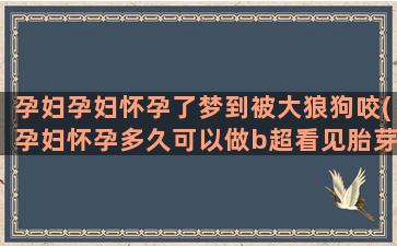 孕妇孕妇怀孕了梦到被大狼狗咬(孕妇怀孕多久可以做b超看见胎芽)