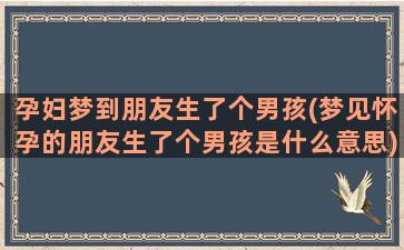 孕妇梦到朋友生了个男孩(梦见怀孕的朋友生了个男孩是什么意思)