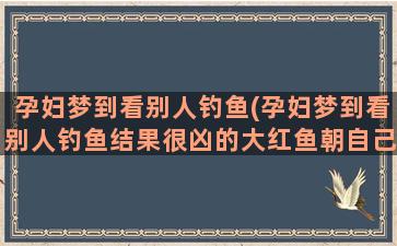 孕妇梦到看别人钓鱼(孕妇梦到看别人钓鱼结果很凶的大红鱼朝自己冲)