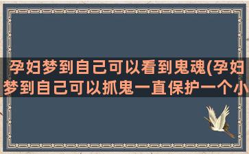 孕妇梦到自己可以看到鬼魂(孕妇梦到自己可以抓鬼一直保护一个小女孩)