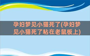 孕妇梦见小猫死了(孕妇梦见小猫死了粘在老鼠板上)