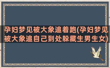 孕妇梦见被大象追着跑(孕妇梦见被大象追自己到处躲藏生男生女)