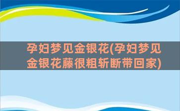 孕妇梦见金银花(孕妇梦见金银花藤很粗斩断带回家)