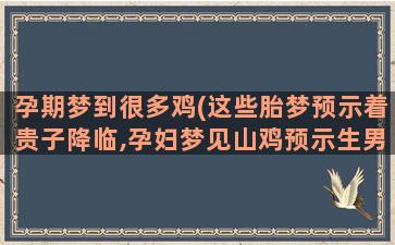 孕期梦到很多鸡(这些胎梦预示着贵子降临,孕妇梦见山鸡预示生男还是女)