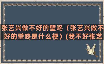 张艺兴做不好的壁咚（张艺兴做不好的壁咚是什么梗）(我不好张艺兴单曲)