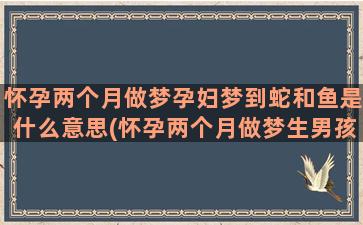 怀孕两个月做梦孕妇梦到蛇和鱼是什么意思(怀孕两个月做梦生男孩是什么预兆)