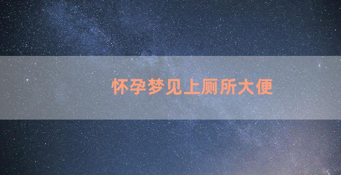 怀孕梦见上厕所大便