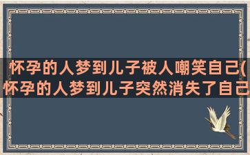 怀孕的人梦到儿子被人嘲笑自己(怀孕的人梦到儿子突然消失了自己崩溃)