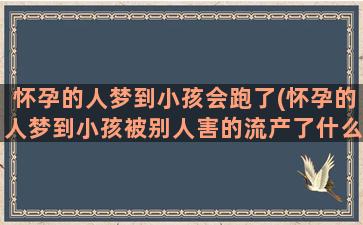 怀孕的人梦到小孩会跑了(怀孕的人梦到小孩被别人害的流产了什么意思)