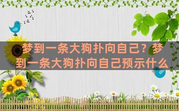 梦到一条大狗扑向自己？梦到一条大狗扑向自己预示什么