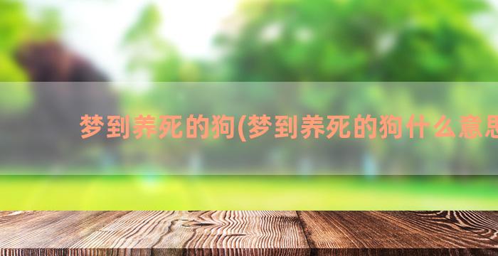 梦到养死的狗(梦到养死的狗什么意思啊)