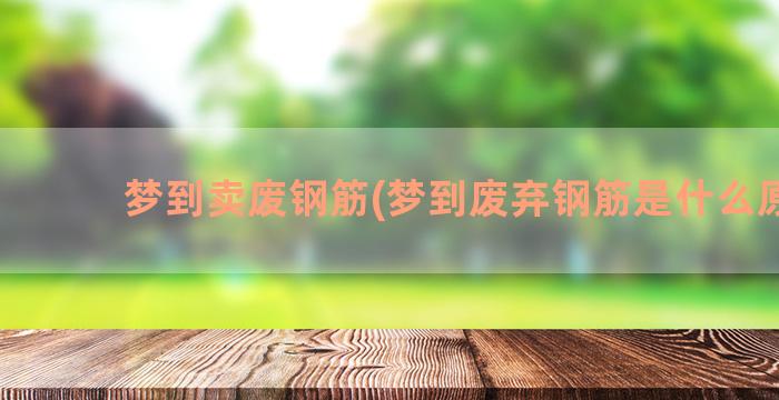 梦到卖废钢筋(梦到废弃钢筋是什么原因)