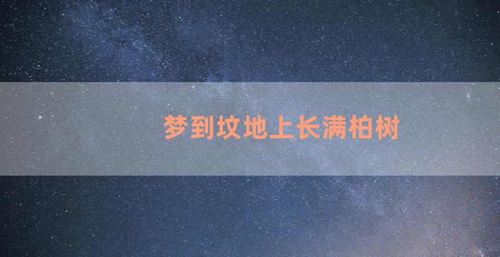 梦到坟地上长满柏树