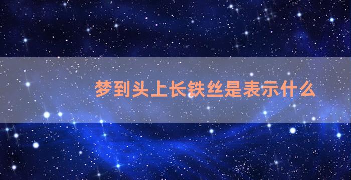 梦到头上长铁丝是表示什么