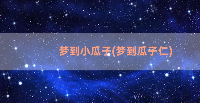 梦到小瓜子(梦到瓜子仁)