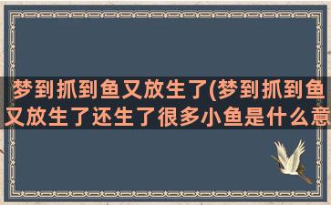 梦到抓到鱼又放生了(梦到抓到鱼又放生了还生了很多小鱼是什么意思)