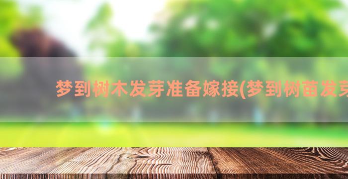 梦到树木发芽准备嫁接(梦到树苗发芽了)