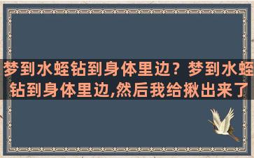 梦到水蛭钻到身体里边？梦到水蛭钻到身体里边,然后我给揪出来了