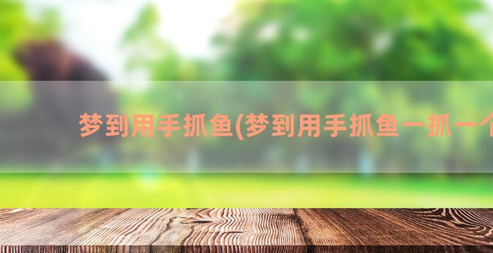 梦到用手抓鱼(梦到用手抓鱼一抓一个准)