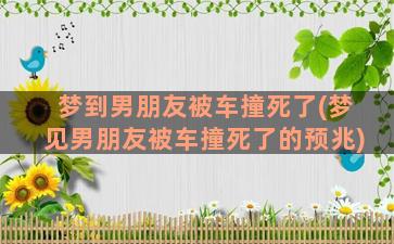 梦到男朋友被车撞死了(梦见男朋友被车撞死了的预兆)