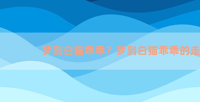 梦到白猫乖乖？梦到白猫乖乖的走