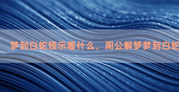 梦到白蛇预示着什么，周公解梦梦到白蛇预示着什么