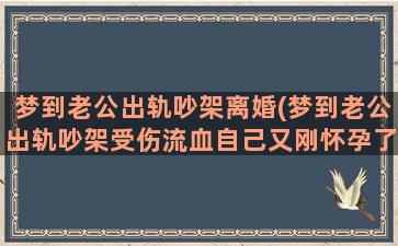 梦到老公出轨吵架离婚(梦到老公出轨吵架受伤流血自己又刚怀孕了)