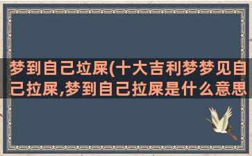 梦到自己垃屎(十大吉利梦梦见自己拉屎,梦到自己拉屎是什么意思)