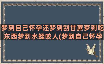 梦到自己怀孕还梦到刮甘蔗梦到吃东西梦到水蛭咬人(梦到自己怀孕还梦到蛇什么意思)