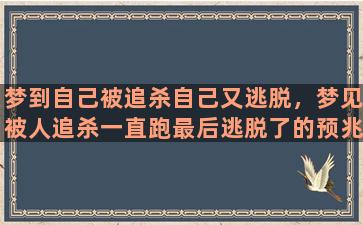 梦到自己被追杀自己又逃脱，梦见被人追杀一直跑最后逃脱了的预兆