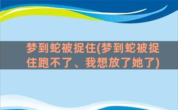 梦到蛇被捉住(梦到蛇被捉住跑不了、我想放了她了)