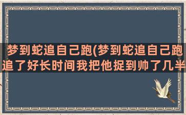 梦到蛇追自己跑(梦到蛇追自己跑追了好长时间我把他捉到帅了几半节)