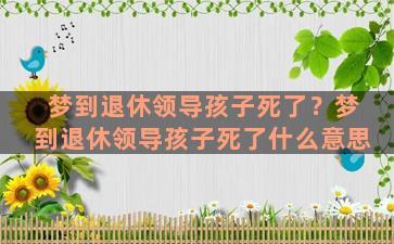 梦到退休领导孩子死了？梦到退休领导孩子死了什么意思