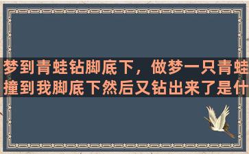 梦到青蛙钻脚底下，做梦一只青蛙撞到我脚底下然后又钻出来了是什么意思解梦