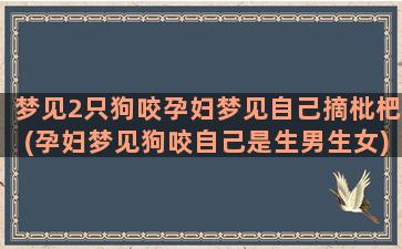 梦见2只狗咬孕妇梦见自己摘枇杷(孕妇梦见狗咬自己是生男生女)