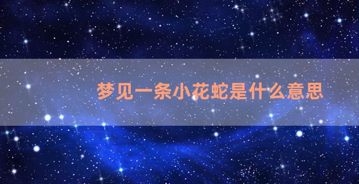 梦见一条小花蛇是什么意思