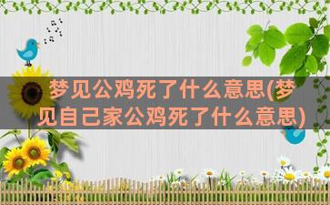 梦见公鸡死了什么意思(梦见自己家公鸡死了什么意思)