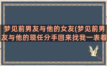 梦见前男友与他的女友(梦见前男友与他的现任分手回来找我一表着什么)